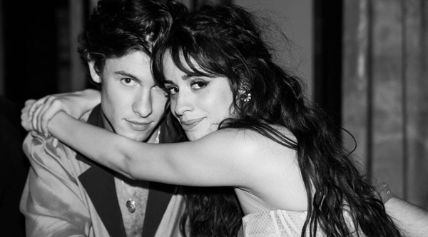 Camila Cabello and Shawn Mendes dated for two years.